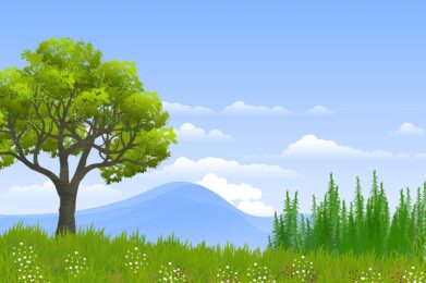 background, landscape, nature-7842730.jpg